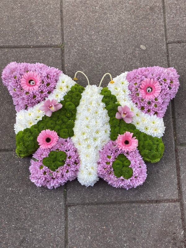 Butterfly Tribute