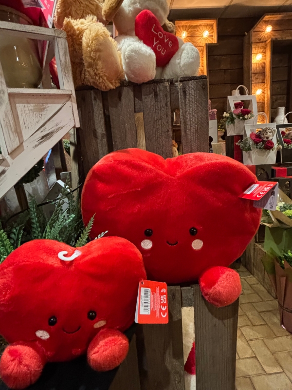 Heart teddy