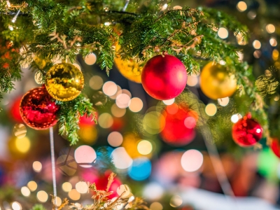 Christmas Florist choice flowers