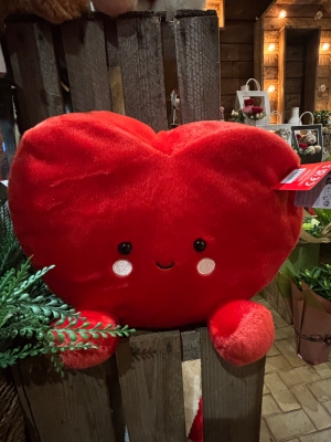 Heart teddy