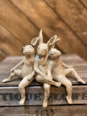 Shelf sitting rabbits