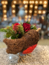Lovely Robin